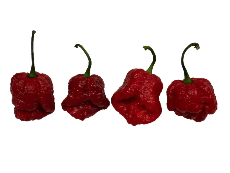 Unveiling the Fiery World of Scorpion pepper: A Spicy Journey Through History