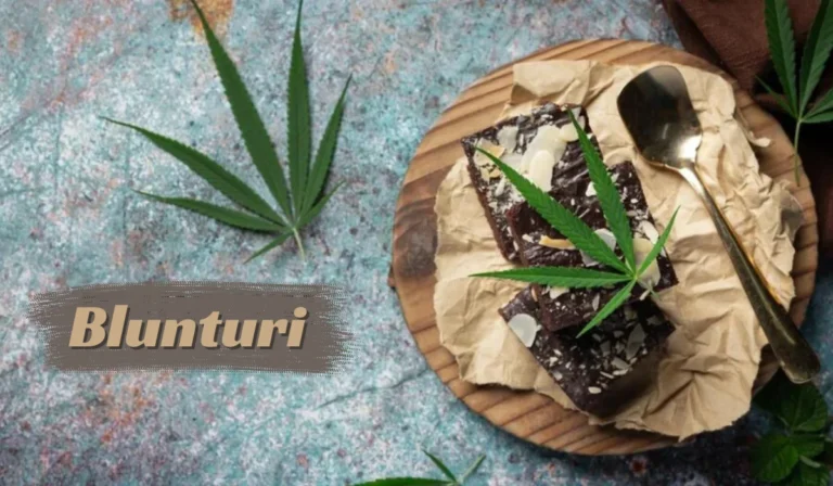 Unveiling the Essence of Blunturi: A Journey into the World of Rolled Cannabis